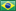Brazilian Portuguese
